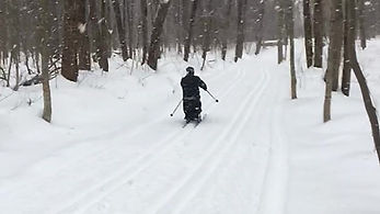 Ski Paranordique